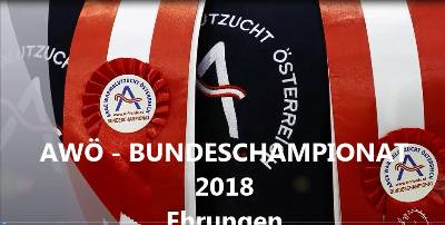 Mehr zu: AWÖ Bundeschampionat 2018 - Züchterehrungen