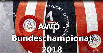 Mehr zu: AWÖ Bundeschampionat 2018 - Die 17 Bundeschampions
