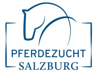 Mehr zu: Vereinsversammlung Haflingerverein Pinzgau