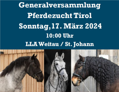 Mehr zu: Generalversammlung der Pferdezucht Tirol mit Hengstparade