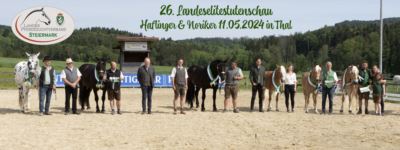 Mehr zu: 26. Landeselitestutenschau für Haflinger und Noriker in Thal bei Graz