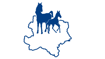 Mehr zu: NÖ Pferdetage 2024<br>
Ergebnisse
