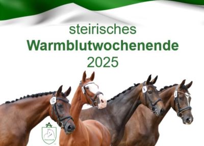 Mehr zu: steirisches Warmblut Wochenende 2025