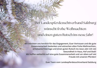 Mehr zu: Frohe Weihnachten und einen guten Rutsch ins neue Jahr!