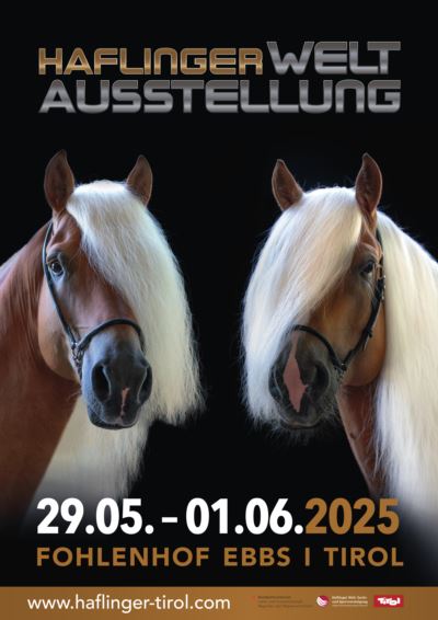 Mehr zu: Haflinger Weltausstellung von 29.05. - 01.06.2025