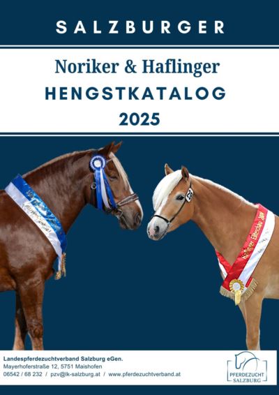 Mehr zu: Der Noriker und Haflinger Hengstkatalog 2025 ist ab sofort im Verbandsbüro erhältlich!