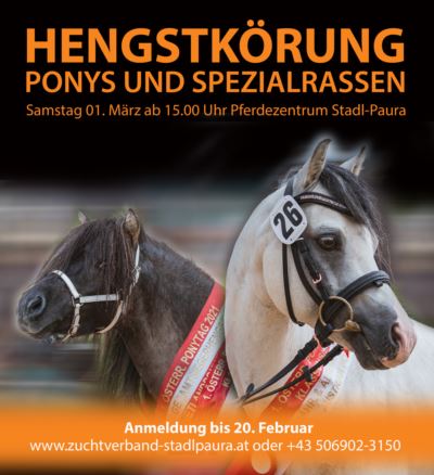 Mehr zu: ZENTRALE HENGSTKÖRUNG 2025 - Pony & Spezialrassen