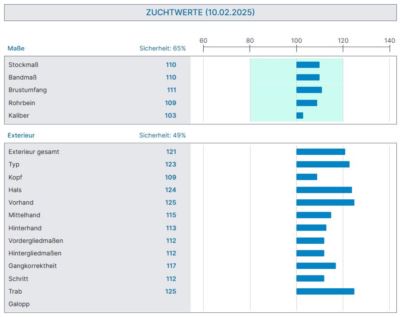 Mehr zu: Aktuelle Noriker Zuchtwerte sind ONLINE