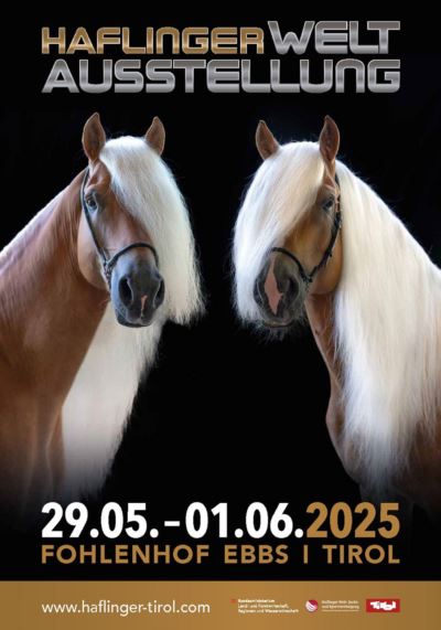 Mehr zu: Kontingent Salzburg Haflinger Weltausstellung 2025