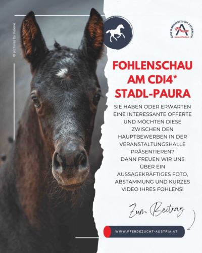 Mehr zu: GESUCHT: Qualitätsvolle Fohlen zur Fohlenpräsentation am CDI4* in Stadl-Paura